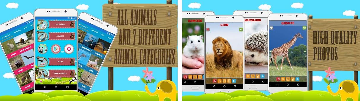 Animal Sounds APK Download for Windows - Latest Version 