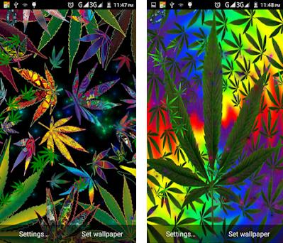 mariguana Weed Live Wallpaper APK Download for Windows - Latest Version 