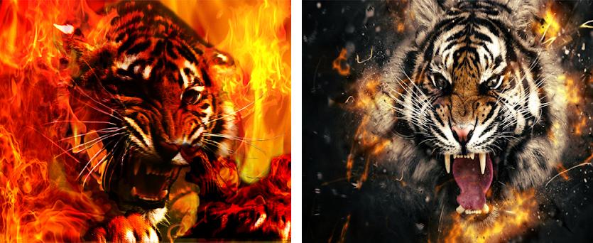 Fire Tiger Live Wallpaper APK Download for Windows - Latest Version 
