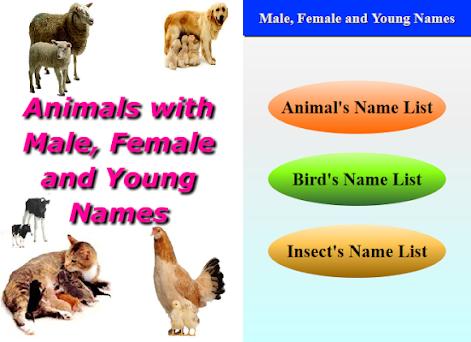 Animals with Male, Female and Young Names APK Download for Windows - Latest  Version 