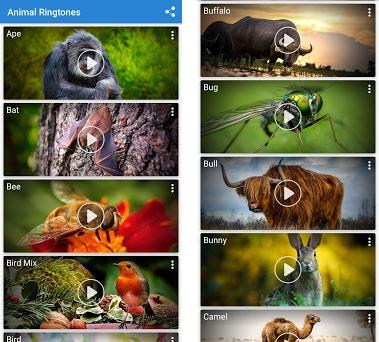 Animal ringtones APK Download for Windows - Latest Version 