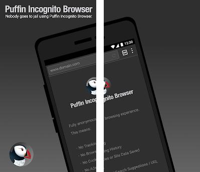 puffin incognito browser apk